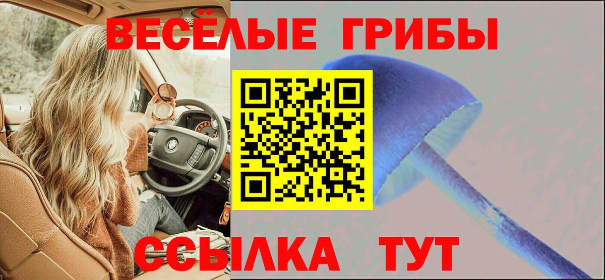 Сегежа  Галлюциногенные грибы Cubensis  Вход с VPN 