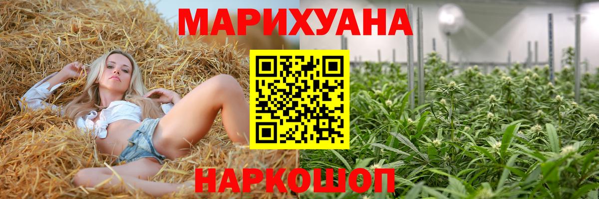 Шишки марихуана конопля  Конопля семена  Сегежа  Вход с VPN 